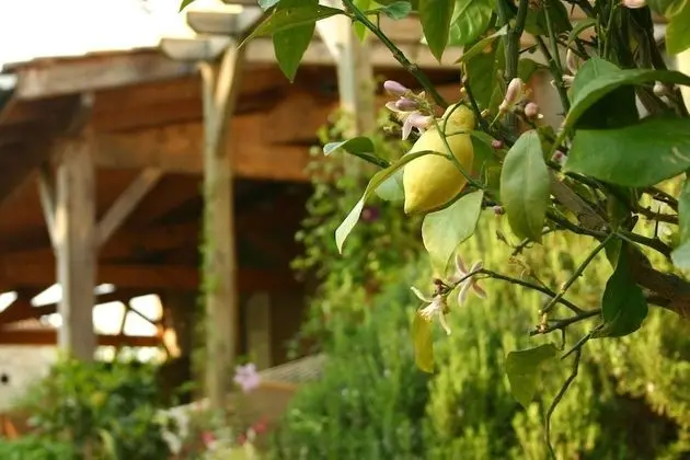 Domaine de la Brette Chambres d'hôtes - Dış Mekan