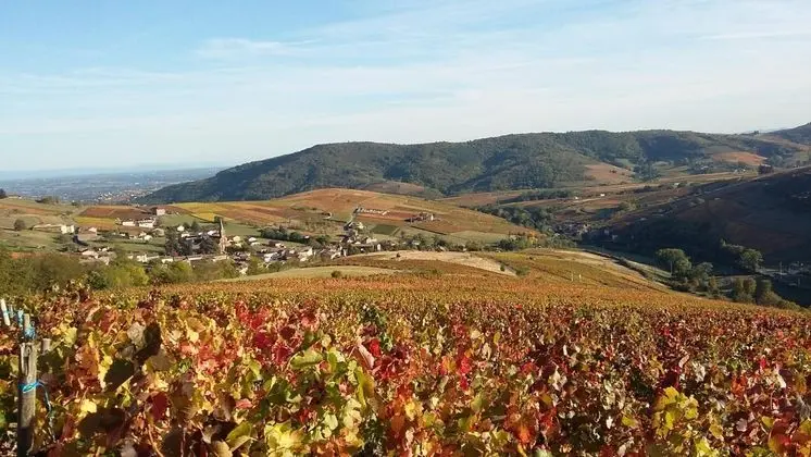 Domaine de la Fée-licité - Genel