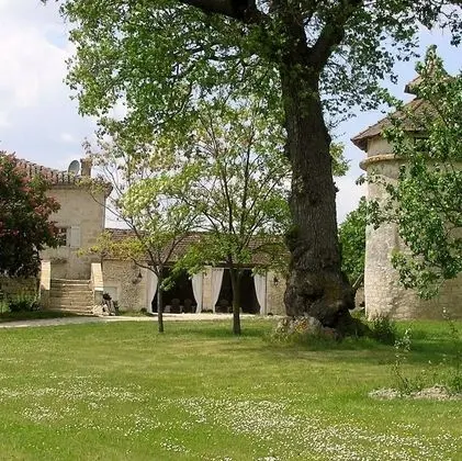 Domaine de L'Isle Basse - Dış Mekan