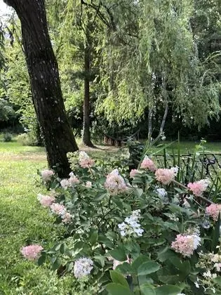 Domaine de l'Ocrerie - Dış Mekan