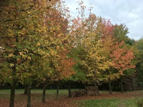 Domaine de Ludeye - Dış Mekan