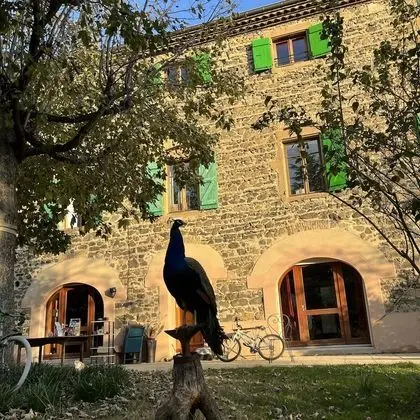 Domaine de Pipangaille - Dış Mekan