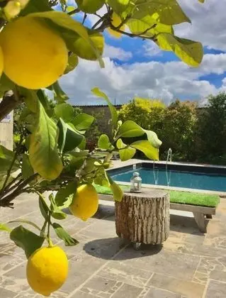 Domaine de Rennebourg - Öne Çıkan Resim
