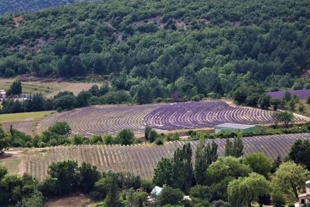 Domaine des Gendalis