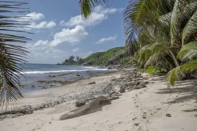 Domaine Desaubin Luxury Villas - Plaj
