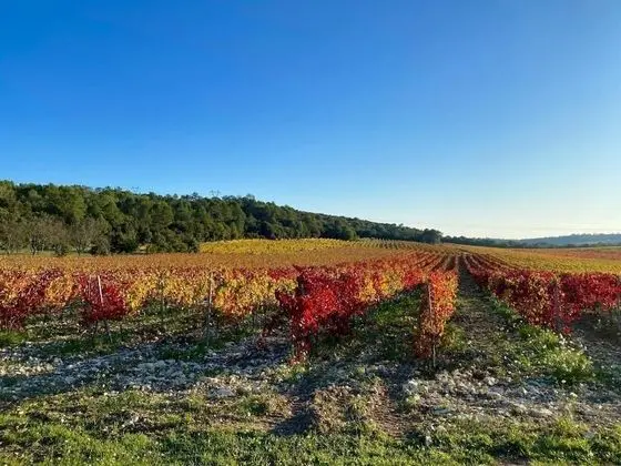 Domaine du Commandeur - Dış Mekan