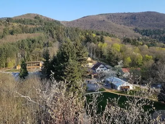 Domaine du Hirtz - Dış Mekan