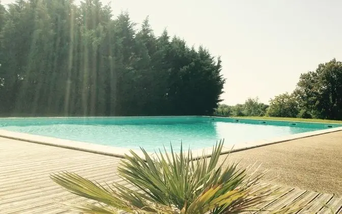 Domaine du Terrou - Havuz