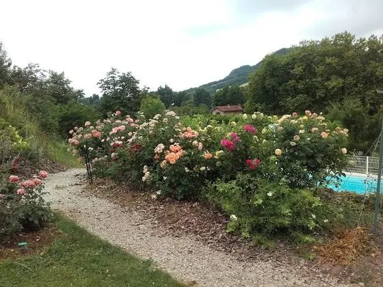 Domaine du Vern - Dış Mekan