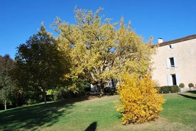 Domaine la Bastide - Dış Mekan