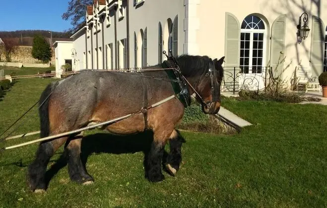 Domaine Le Clos des Belvals - Dış Mekan