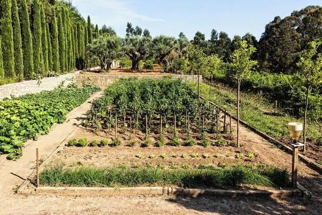 Domaine Les Mésanges - Dış Mekan