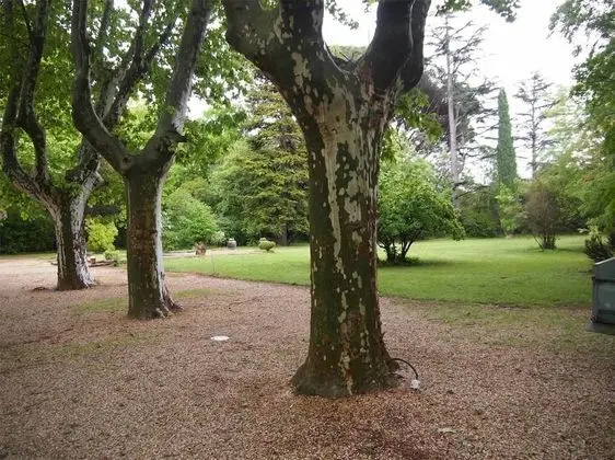 Domaine Shambala Chambres d'hotes - Dış Mekan