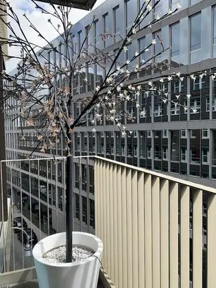 Domapartment Cologne City Domblick - Dış Mekan