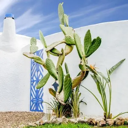 The Dome House - Dış Mekan