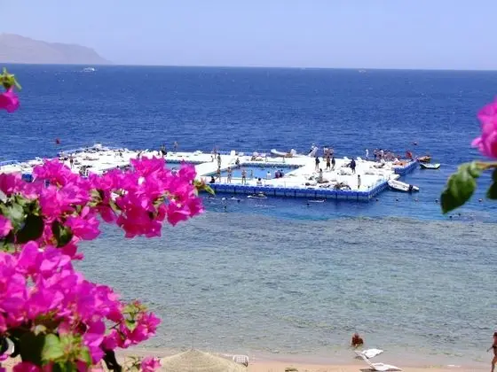 Domina Coral Bay Resort, Diving , Spa & Casino - Plaj