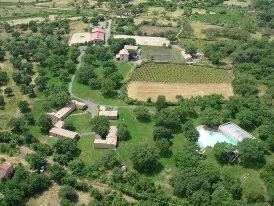 Dominariu Mandra Edera