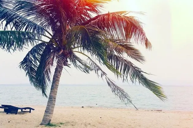 Domingo Hostel Phangan - Konum Öne Çıkanlar