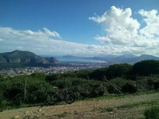 Domus Accomodations - Dış Mekan