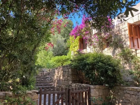 Domus Olivarum - Costa Smeralda 7 Guest 2 Pk Wifi AC big Garden - Öne Çıkan Resim