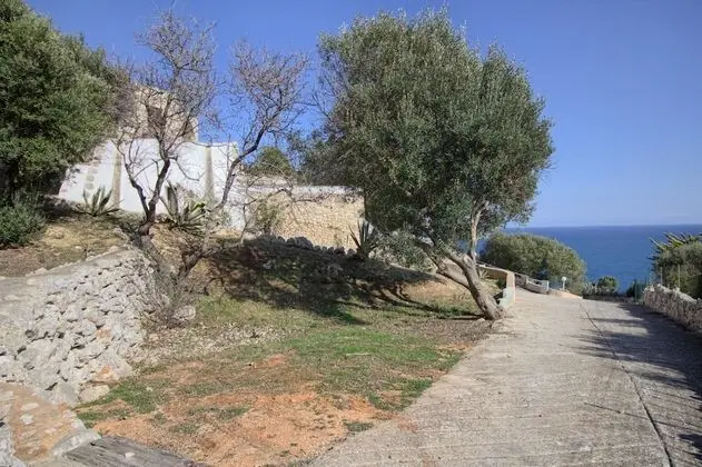 Don Carlos Pool Residence - Dış Mekan