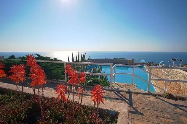 Don Carlos Pool Residence - Oda Düzeni