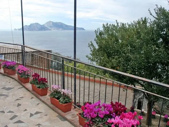 Don Luigino - Capri View Marciano - Oda