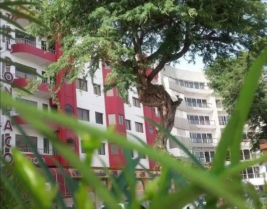THe Don Paco Hotel
