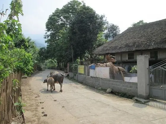 Dong Que Homestay - Hostel - Dış Mekan