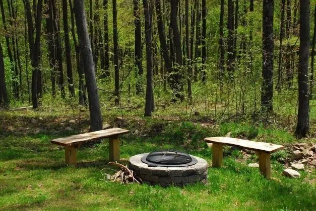 Donovan's Dacha - Dış Mekan