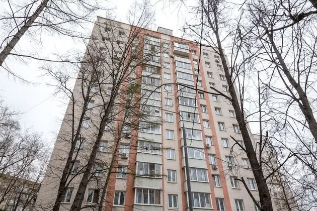 Donskoy Studio