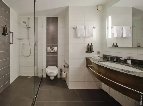 Dorint Hotel Bonn - Banyo Tipleri