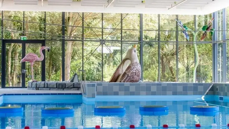 Dormio Resort Maastricht - Havuz