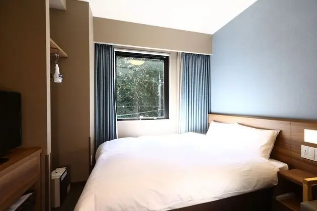 Dormy Inn Express Gotemba Hot Springs - Oda