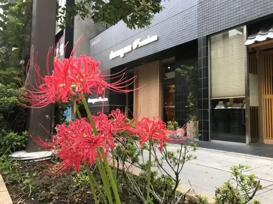 Dormy Inn Premium Tokyo Kodenmacho