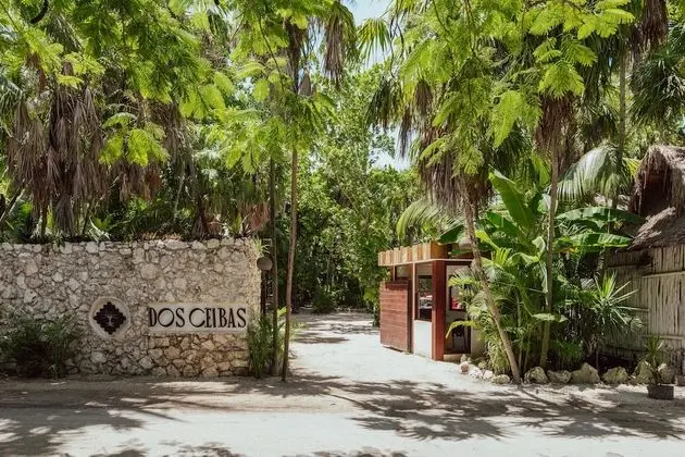 Dos Ceibas Tulum Feel Good Hotel - Dış Mekan