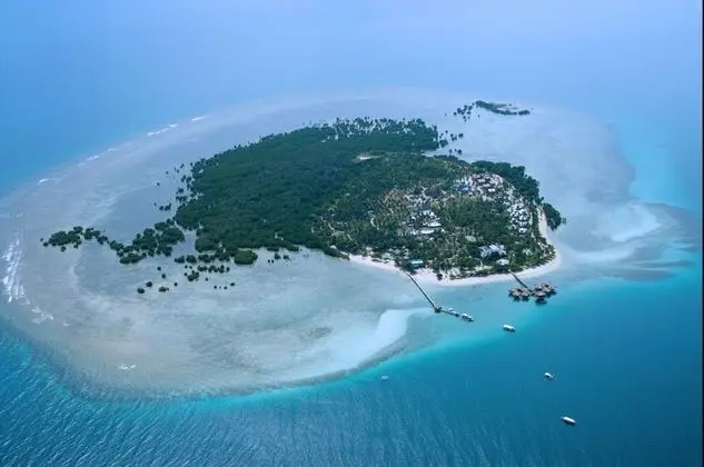 Dos Palmas Island Resort & Spa