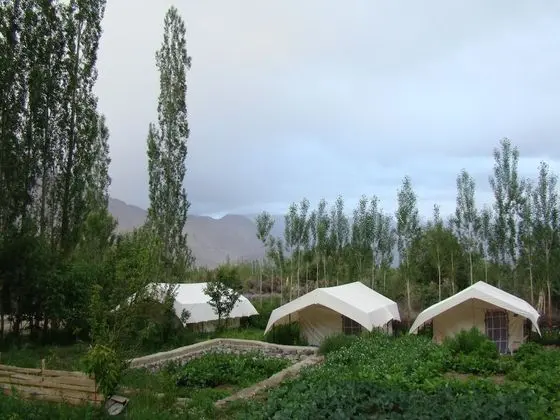 Double Humped Camp - Hunder - Dış Mekanlar