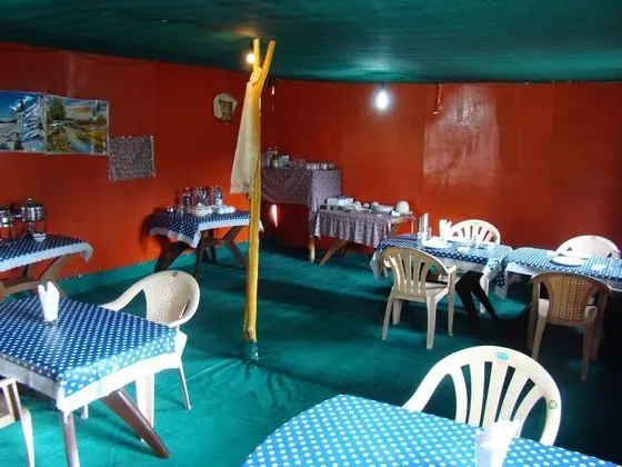 Double Humped Camp - Hunder - Yerinde Yemek