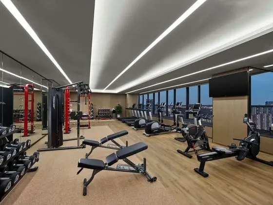 DoubleTree by Hilton Chengdu Riverside - Fitness