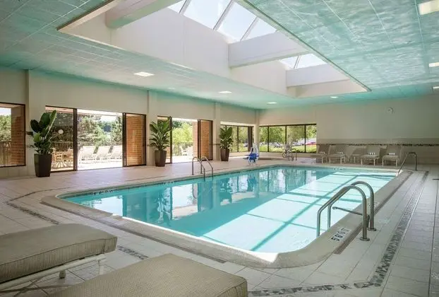 DoubleTree by Hilton Lisle-Naperville - Havuz