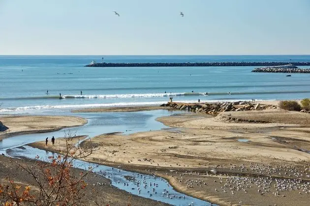 DoubleTree Suites by Hilton Hotel Doheny Beach - Plaj