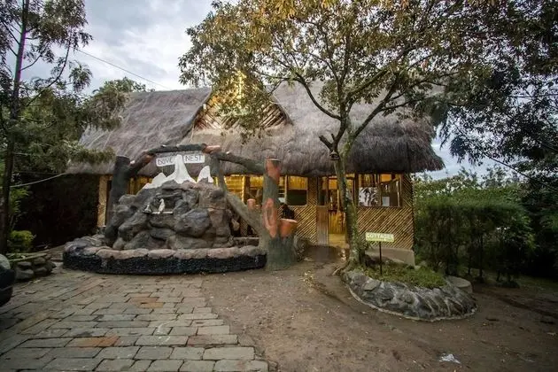 Dove Nest Lodge