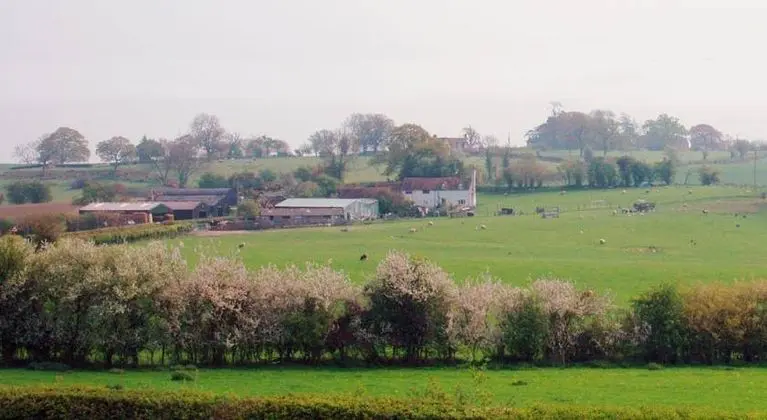 The Down Inn