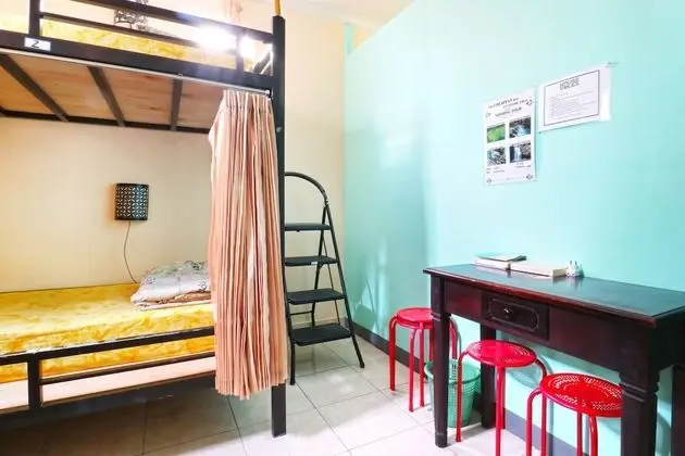Downtown Monkey Forest - Hostel - Oda