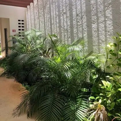 Downtown Suites Cancun - İç Mekan
