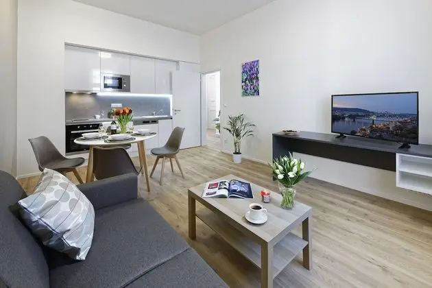 DownTown Suites Jugoslavska - Mutfak