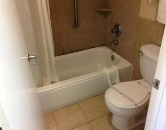 Downtowner Inn and Suites Hobby - Banyo Tipleri