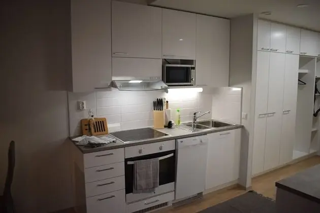DP Apartments Vaasa - Mutfak