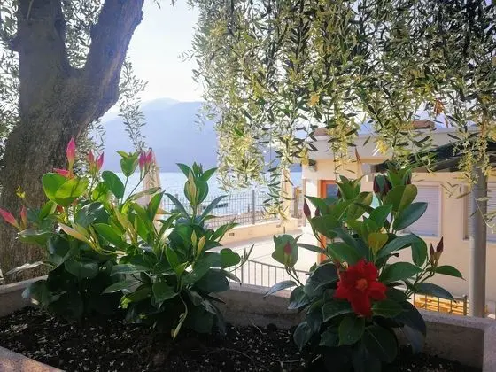 Hotel Drago - Plaj